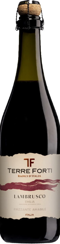 Lambrusco Terre Forti bottle