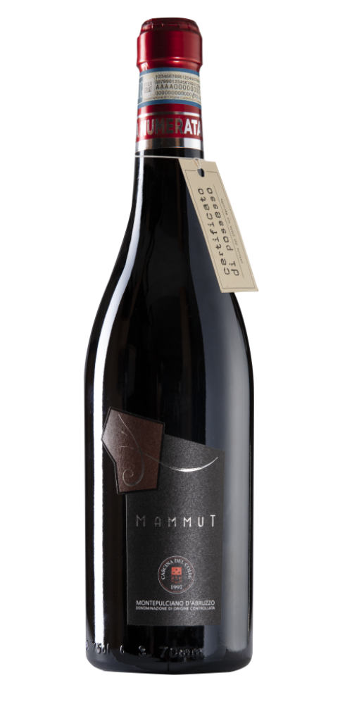 Mammut Montepulciano